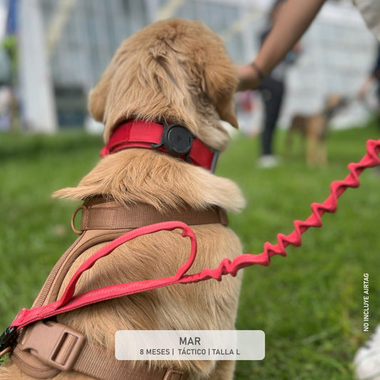 CORREA ANTICHOQUE TACTICA