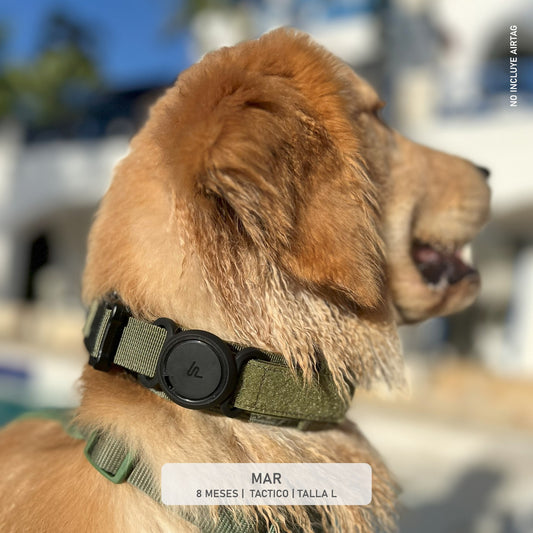 COLLAR TACTICO + PORTA AIRTAG PERSONALIZADO