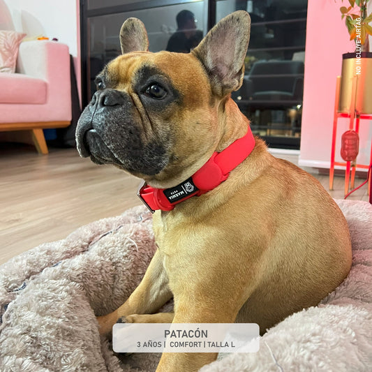 COLLAR CONFORT + PORTA AIRTAG PERSONALIZADO