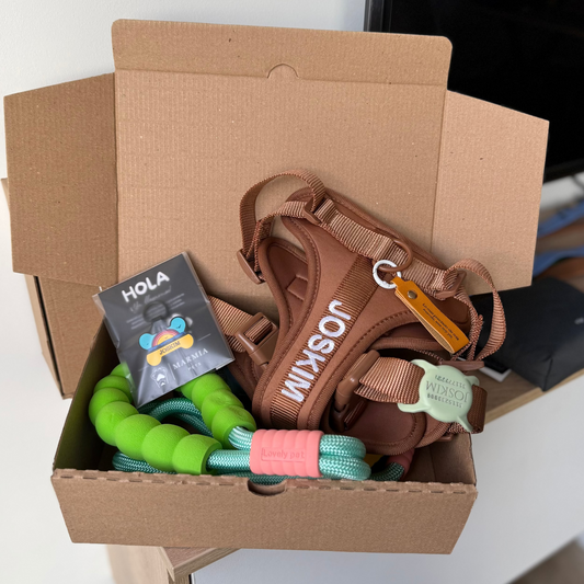 KIT MOCHI ARNÉS PERSONALIZADO + CORREA ESTANDAR