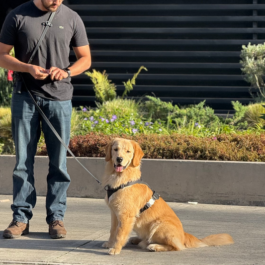CORREA MANOS LIBRES CONFORT