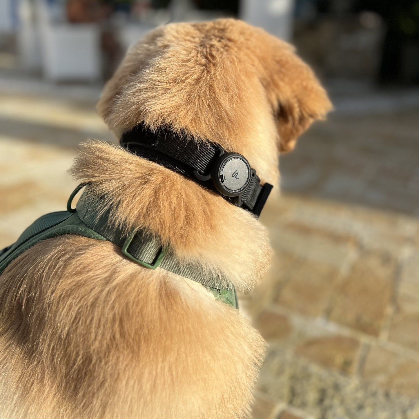 COLLAR TACTICO + PORTA AIRTAG PERSONALIZADO