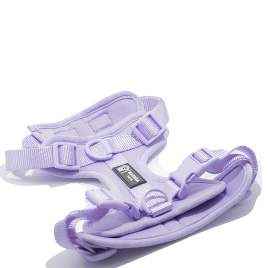 ARNÉS CONFORT + PORTA AIRTAG PERSONALIZADO