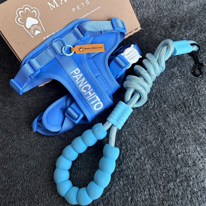 KIT MOCHI ARNÉS PERSONALIZADO + CORREA ESTANDAR