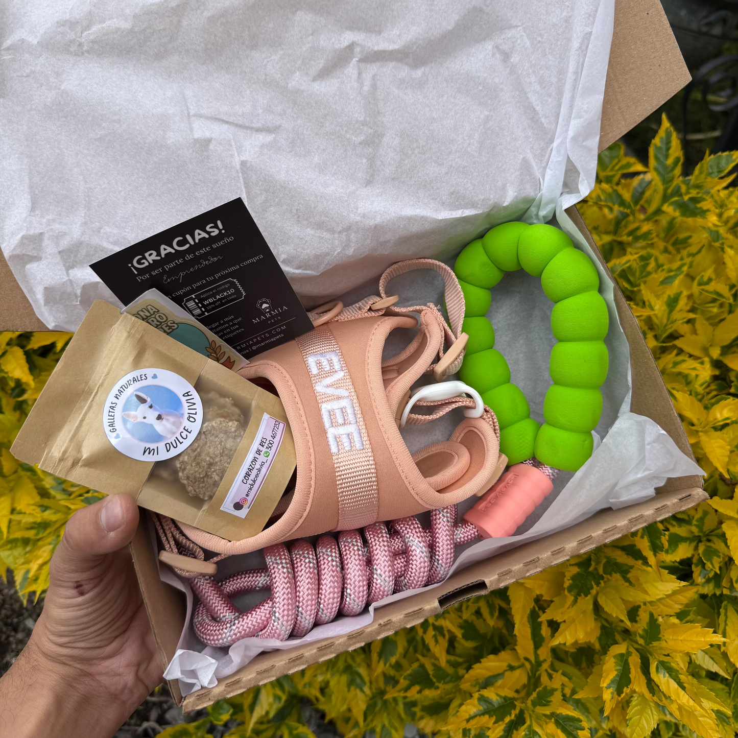 KIT MOCHI ARNÉS PERSONALIZADO + CORREA ESTANDAR
