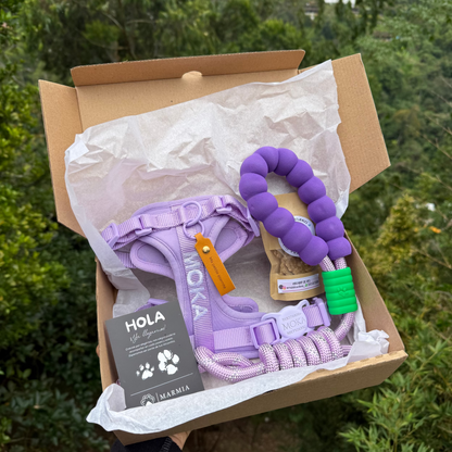 KIT MOCHI ARNÉS PERSONALIZADO + CORREA ESTANDAR
