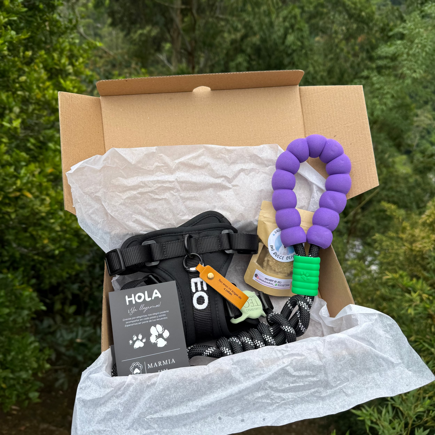 KIT MOCHI ARNÉS PERSONALIZADO + CORREA ESTANDAR