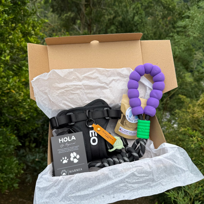 KIT MOCHI ARNÉS PERSONALIZADO + CORREA ESTANDAR
