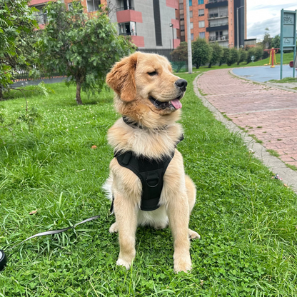 Arnés táctico + bordado y 1 parche