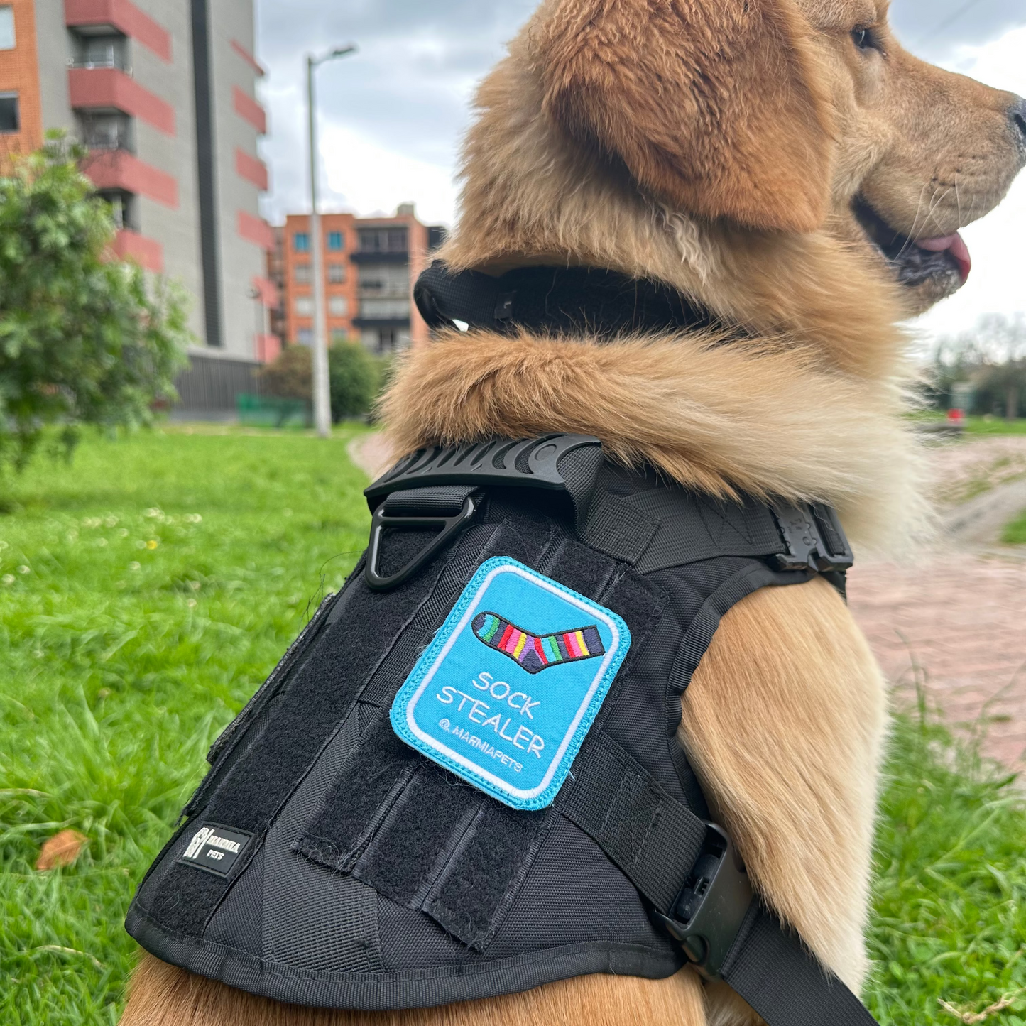 Arnés táctico + bordado y 1 parche