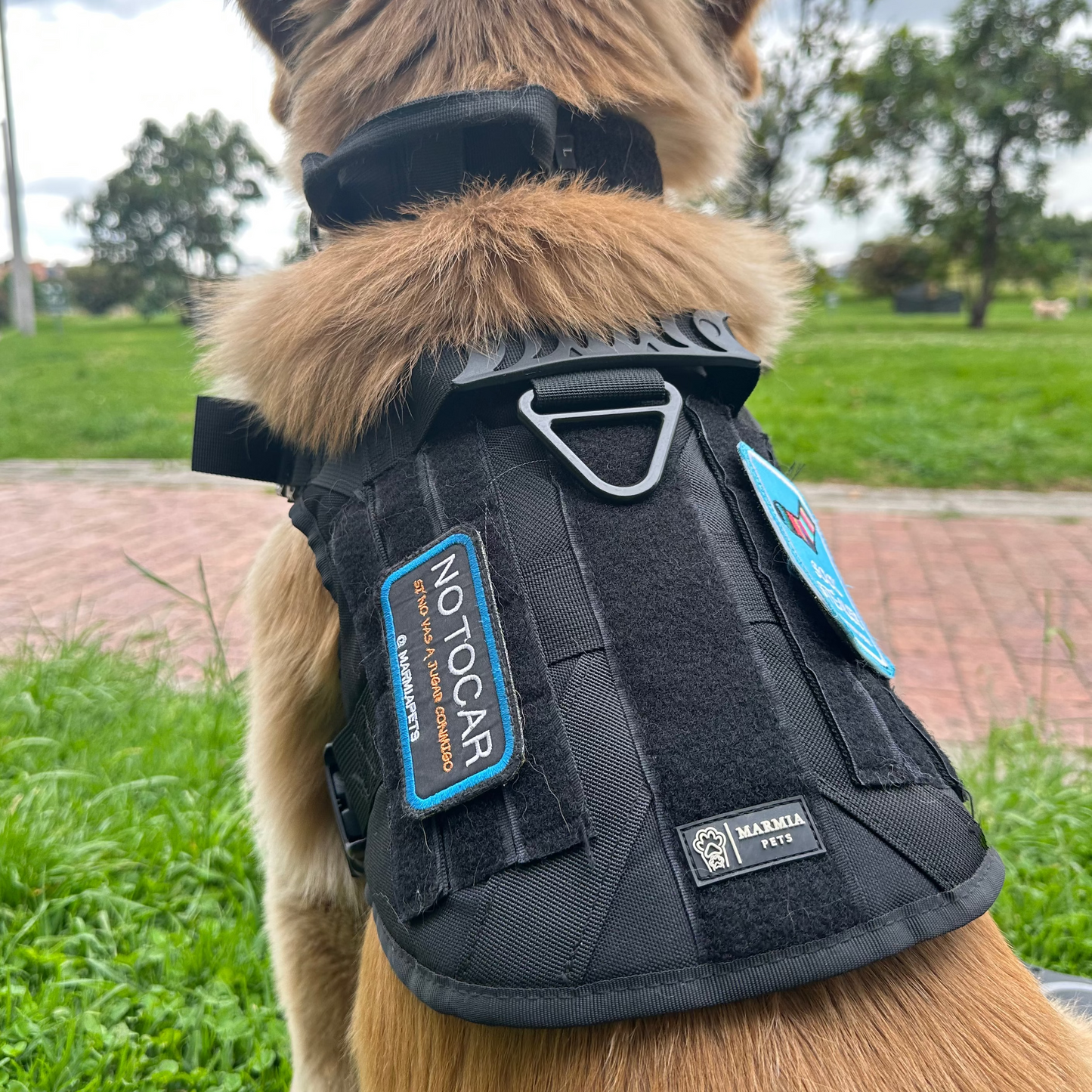 Arnés táctico + bordado y 1 parche