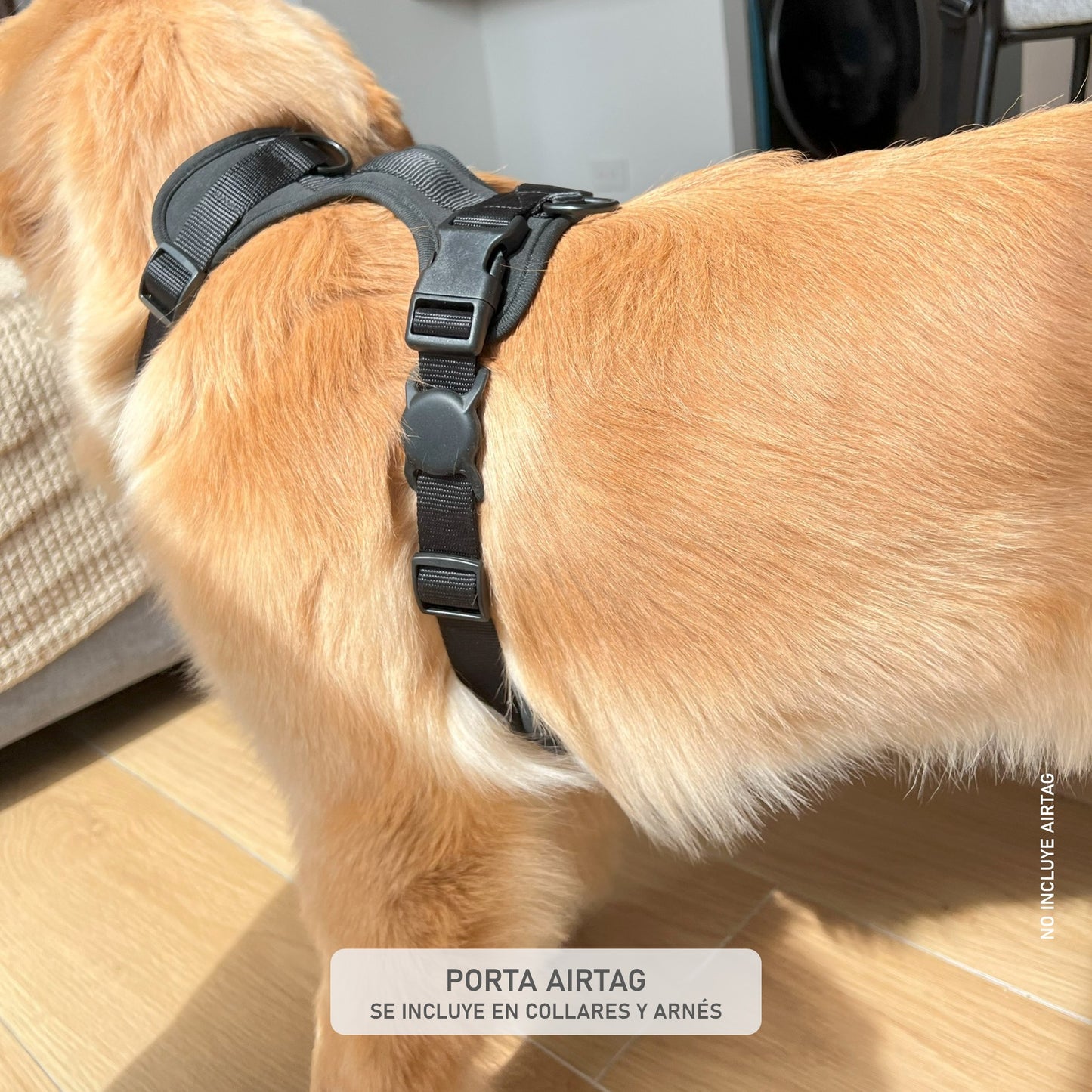 ARNÉS CONFORT + PORTA AIRTAG PERSONALIZADO
