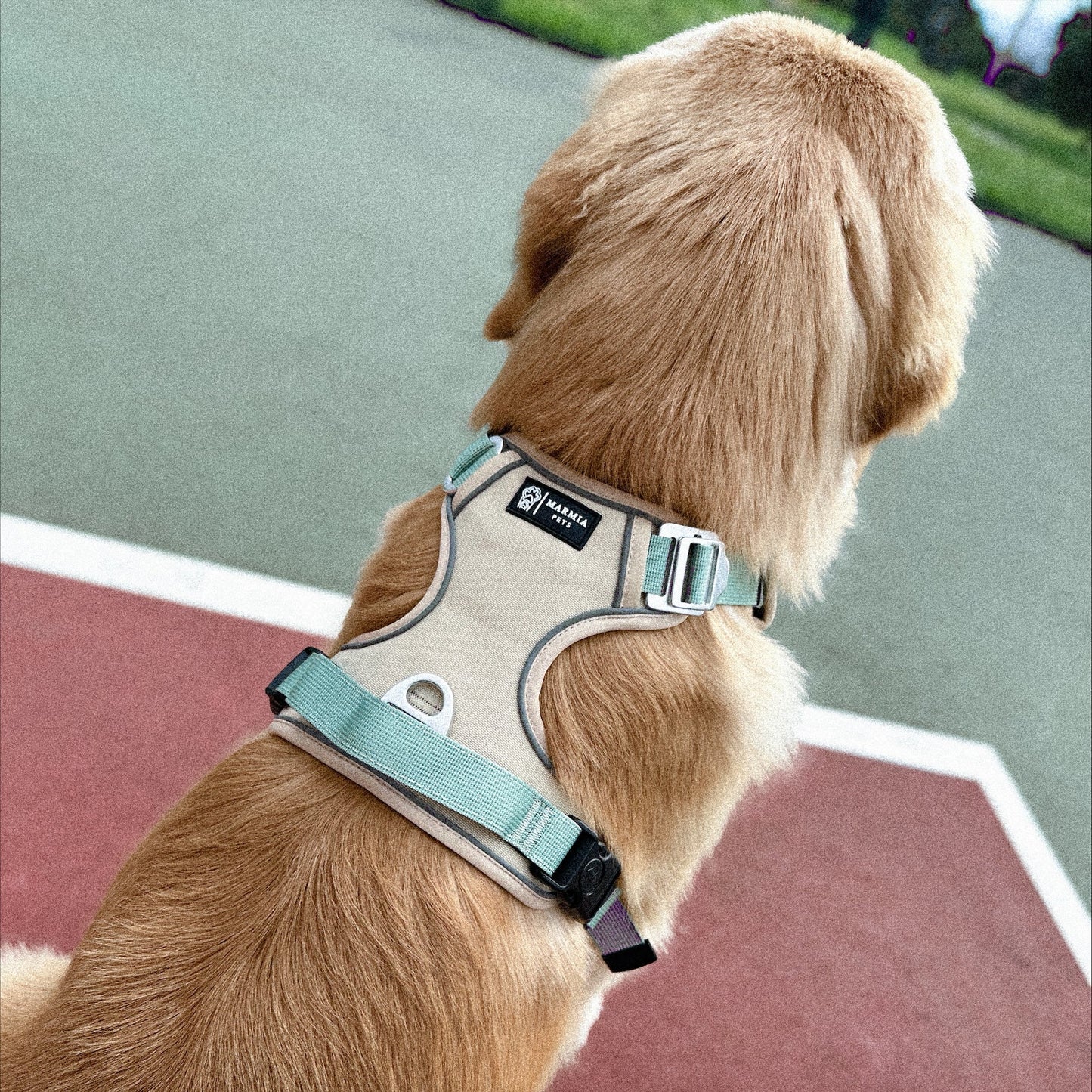 ARNÉS CASUAL SPORT + PORTA AIRTAG PERSONALIZADO